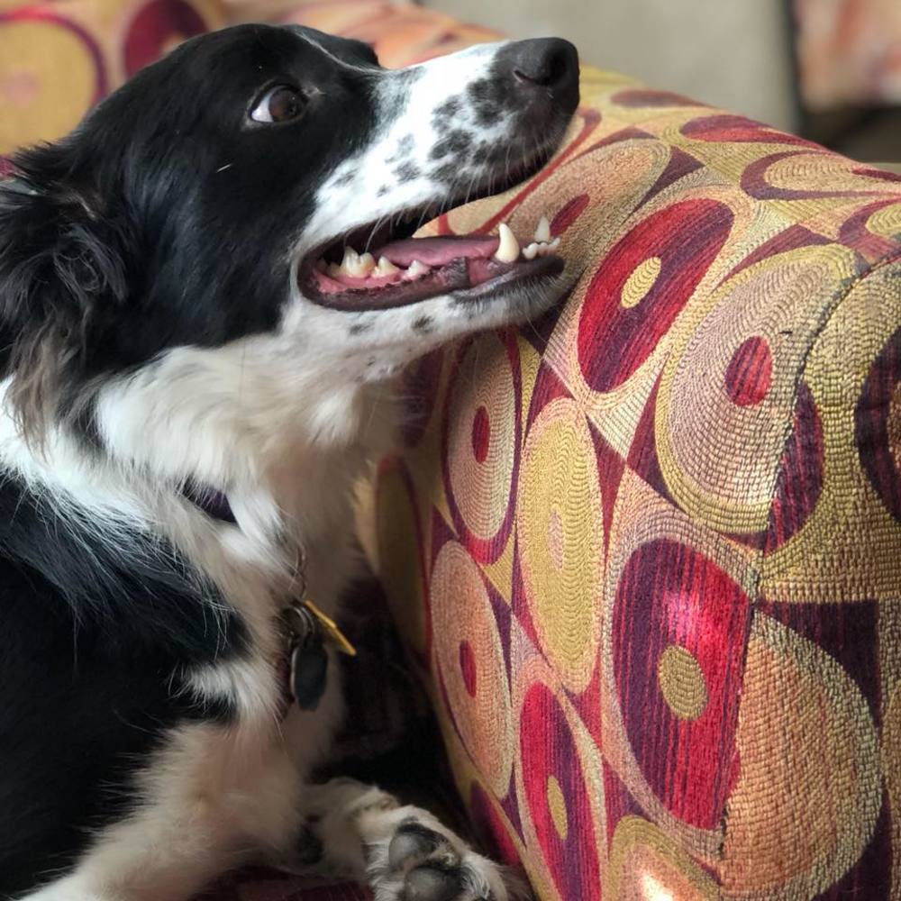 Meet your Posher, Victoria